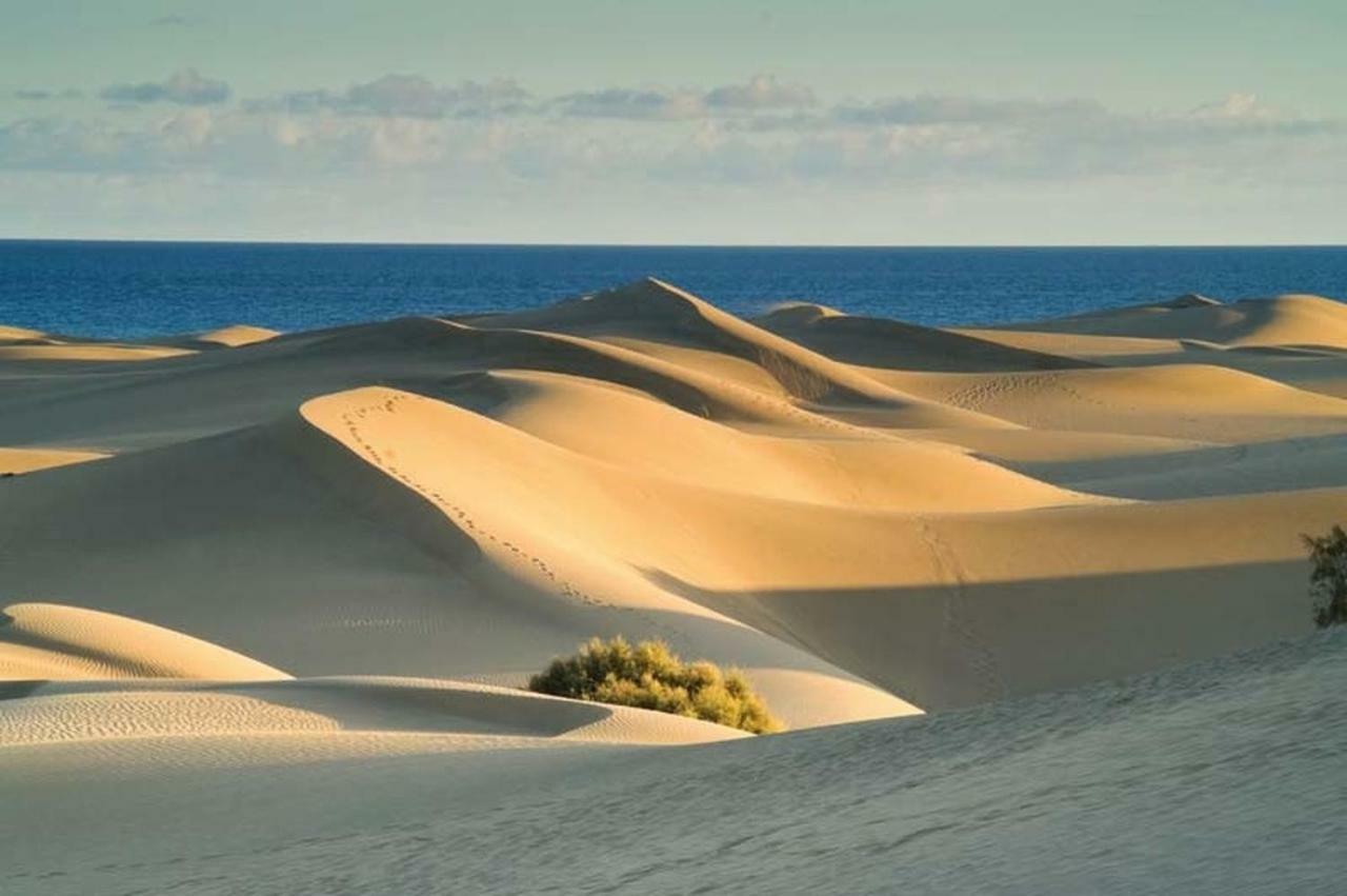 Las Olas Beach بلايا ديل إنغلز المظهر الخارجي الصورة